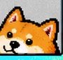 A shiba peeking in from the corner